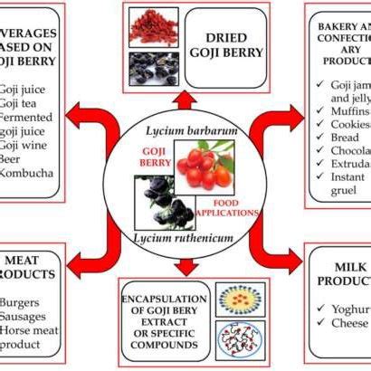 Health Benefits and Applications of Goji Berries in Functional 